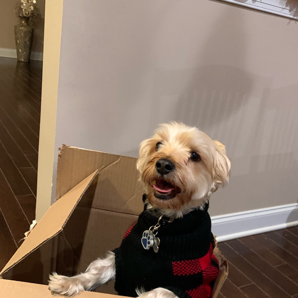 Meet your Posher, Mel